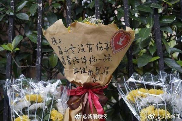 3500万欧交易破裂！荷媒：汉茨科成利雅得胜利内部权利斗争牺牲品